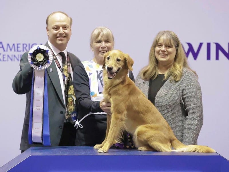 Jane Bronson with Golden Retriever Phire