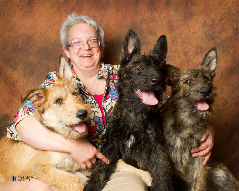 Liz Hansen with 5-month-old siblings, ‘Greg,’ GCH Sketchbook Gold Medalist CM PT (fawn), ‘Gilli,’ UKC CH Sketchbook Gilligan (dark brindle), and ‘Charm,’ CH Sketchbook Good Luck Charm CM PT