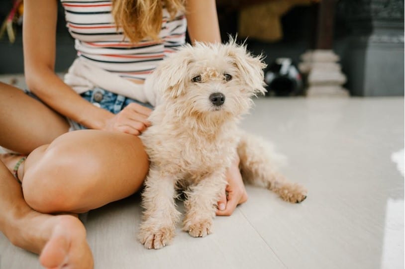 woman with her therapy dog