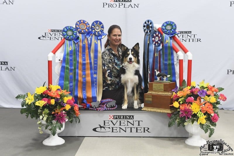 Kimberly Berkley with her Border Collie dog known as "Zayne"