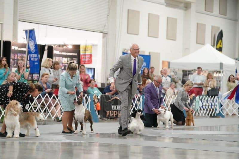 2023 Peach Blossom Cluster dog show