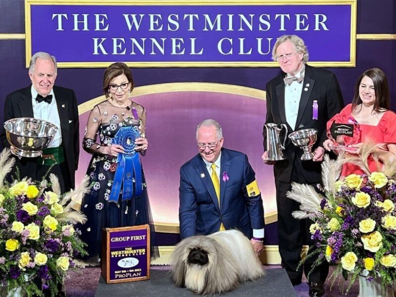 Cindy Vogels - 2023 WKC Dog Show Toy Group Judge, pictured at the show
