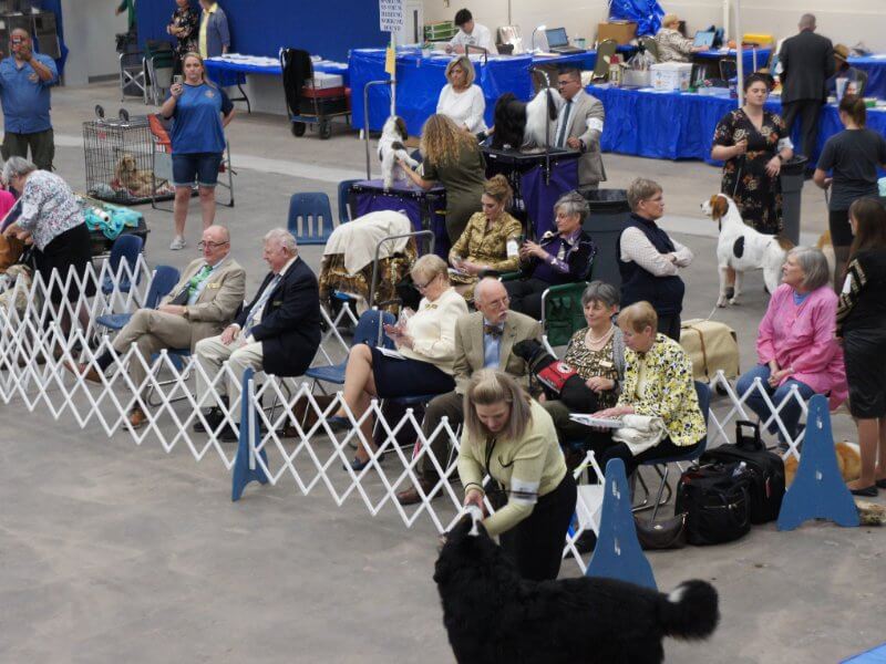 Abilene Kennel Club 2023 Dog Shows
