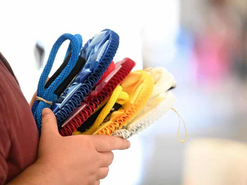 dog show ribbons