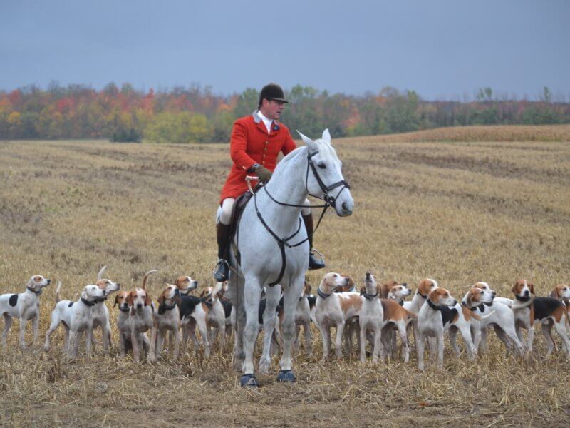 Huntsman on a horse. By kind permission of jsbee Photography