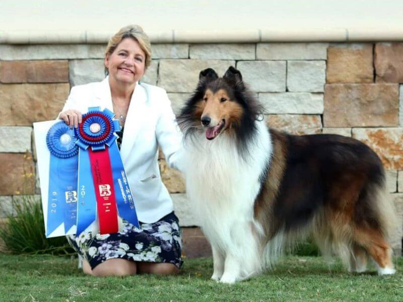 Lea Bertsch, Breeder of Scalloway Collies