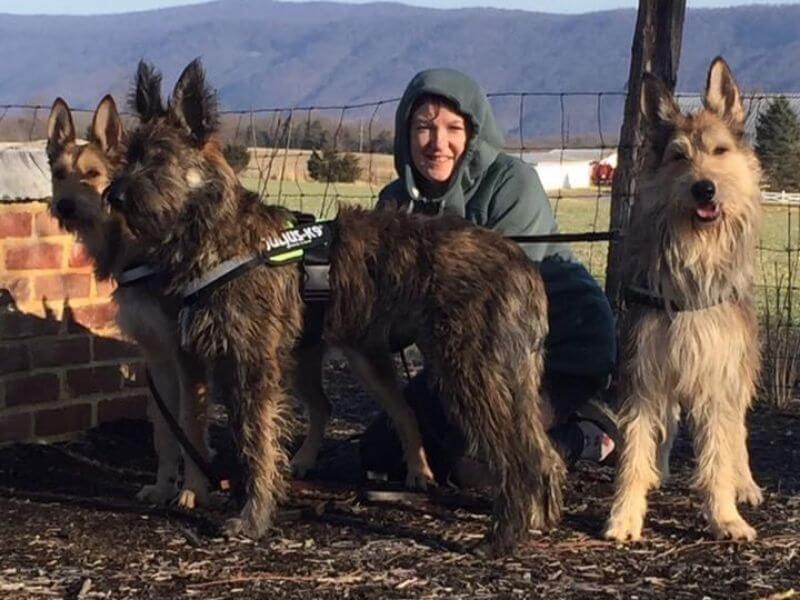 Michele Fitzgerald, Breeder of Flywire Berger Picards
