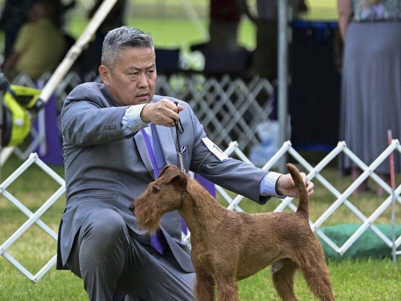Eduardo Fugiwara