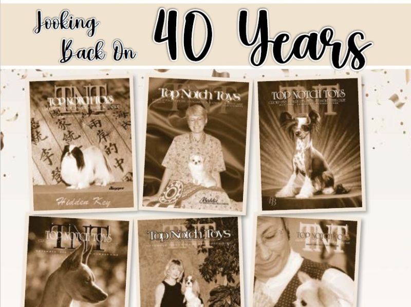 Top Notch Toys Celebrates Our 40th Anniversary