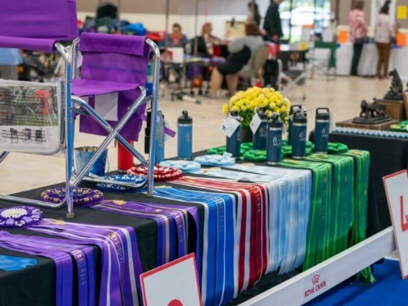 American Bouvier Des Flandres Club Celebrates 60 Years