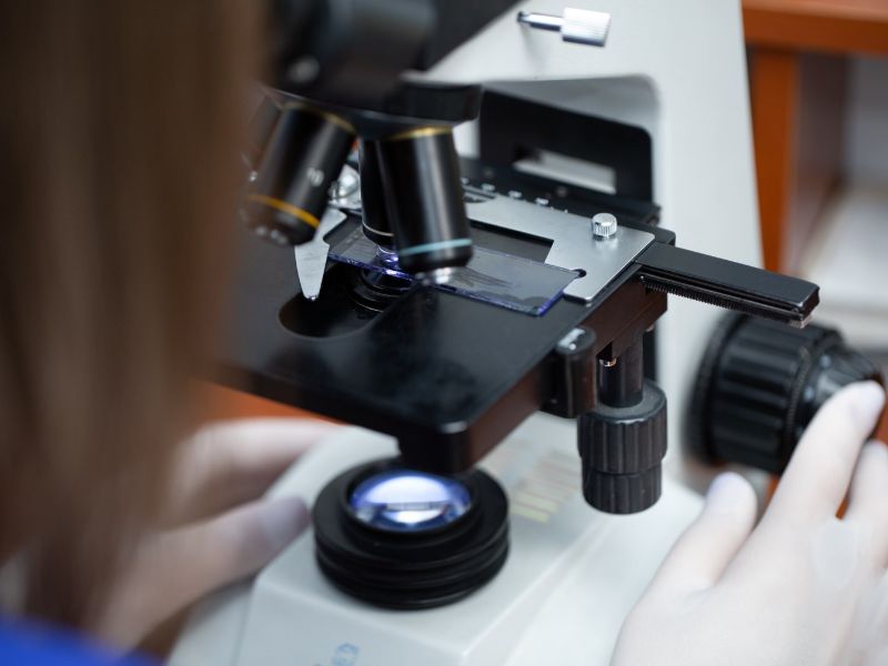 Canine Mammary Tumors Treatment Strategies
