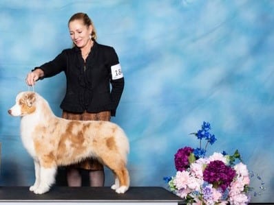 Monique Gautreaux Hetterscheidt, Breeder of Reinemn Kennels