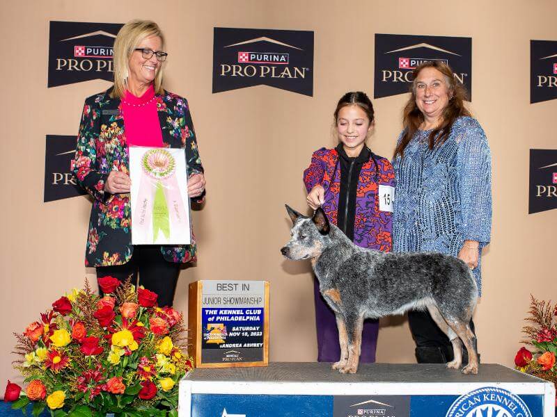 Leah Graham with her at the dog show.