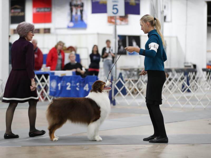 Savanna Michalak and her dog at a show.
