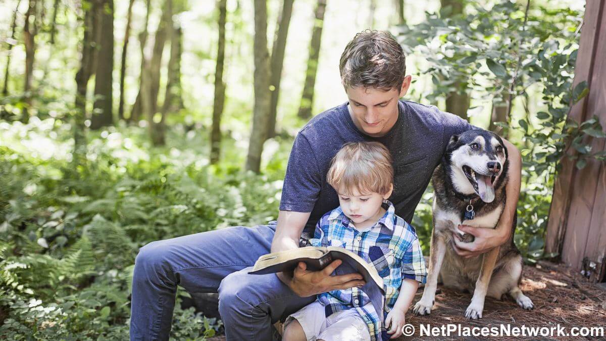 Understanding Faith & Your Dog