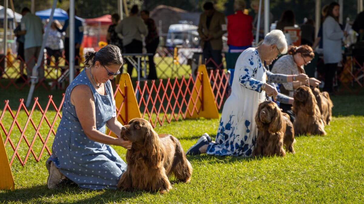 Hanover Kennel Club 2024 Dog Show | Wilmington, NC