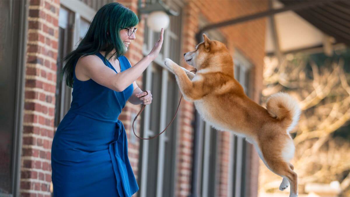 Piper Leiper and Shiba Inu