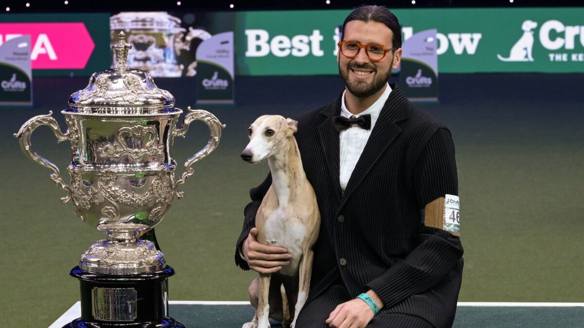 Crufts 2025 Winner