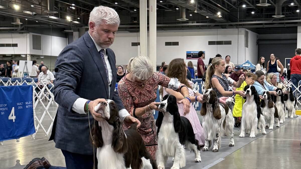 2025 Houston World Series of Dog Shows