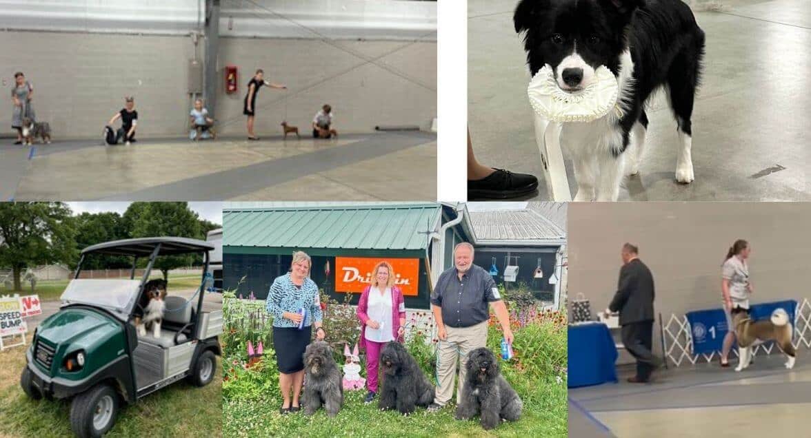 2025 Hoosier Summer Classic Dog Show