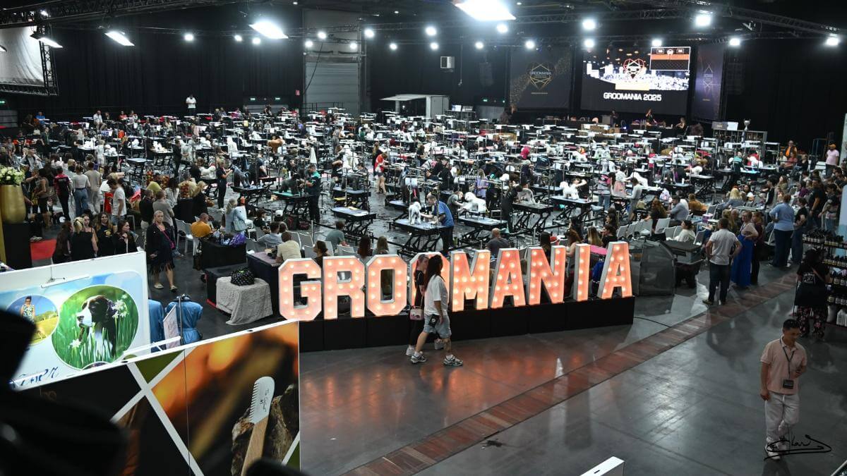Groomania