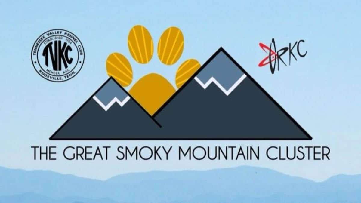 The Great Smoky Mountain Cluster