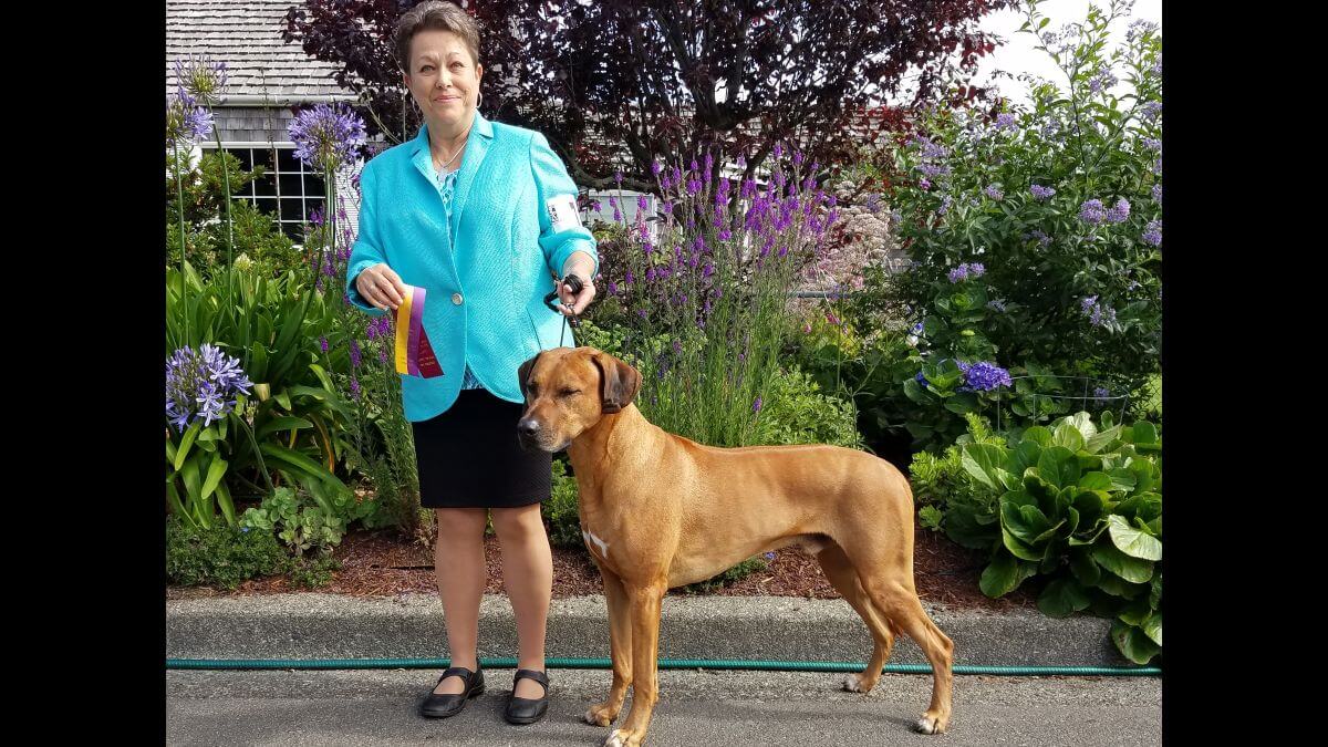 Cindy A Pike with a Rhodesian Ridgeback