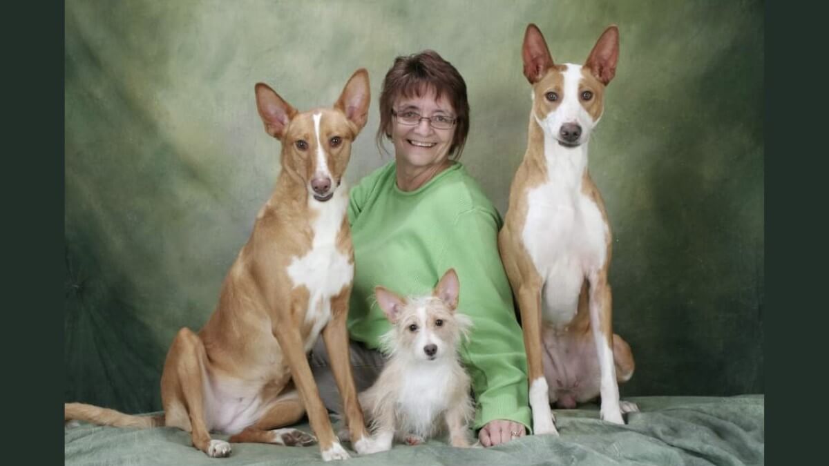 Diana McCarty, Breeder of MIJOKR Portuguese Podengos