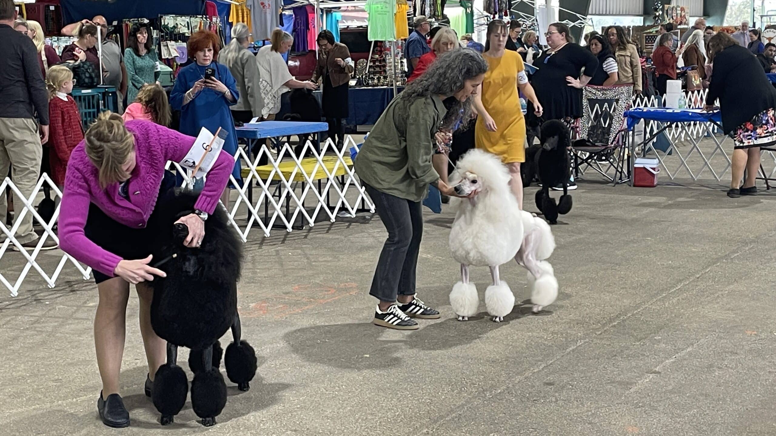 Conroe Kennel Club 2025 Dog Show