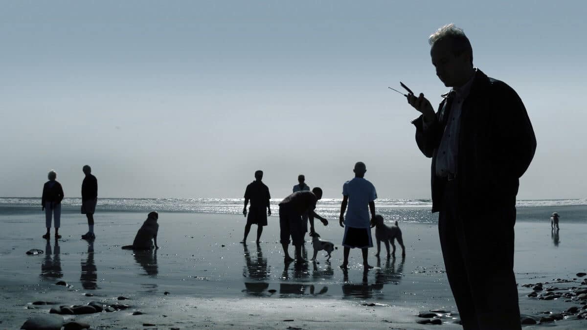 Dogs and people at the beach