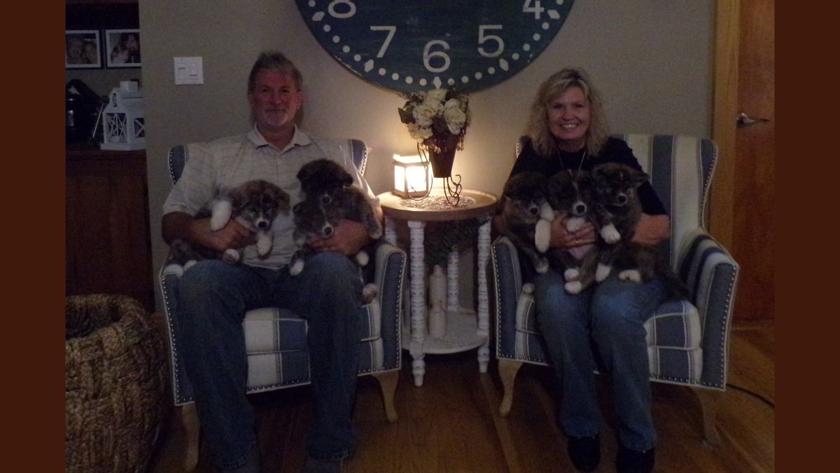Christine Womack, Breeder of Ichigo Japanese Akitainu Kennels