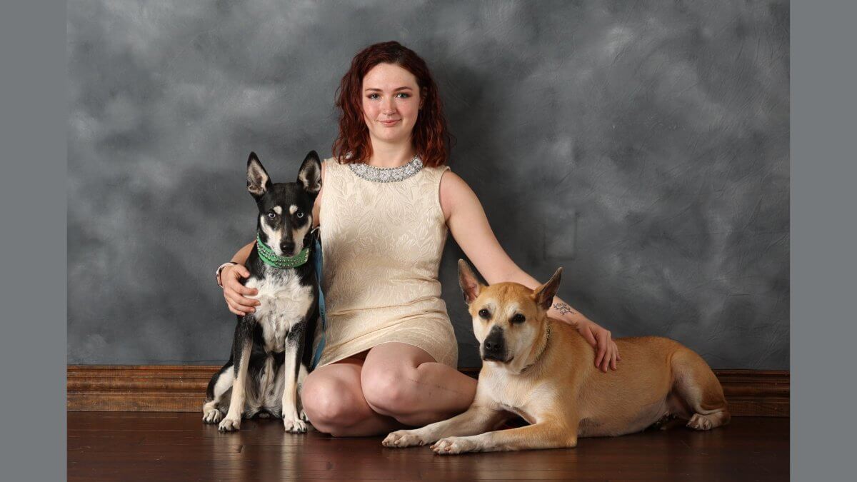 Mercury Steele, Breeder of Where the Wild Dogs Grow Carolina Dogs