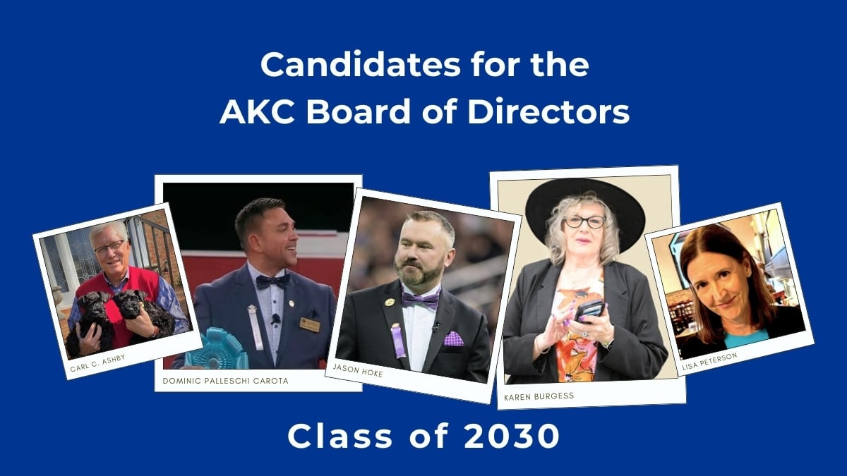 Candidates for AKC Board of Directors Class of 2030