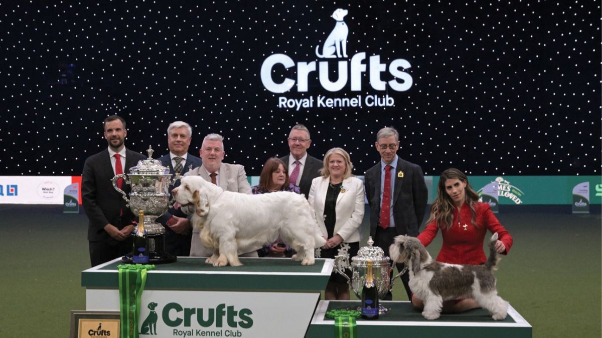 2026 Crufts winners
