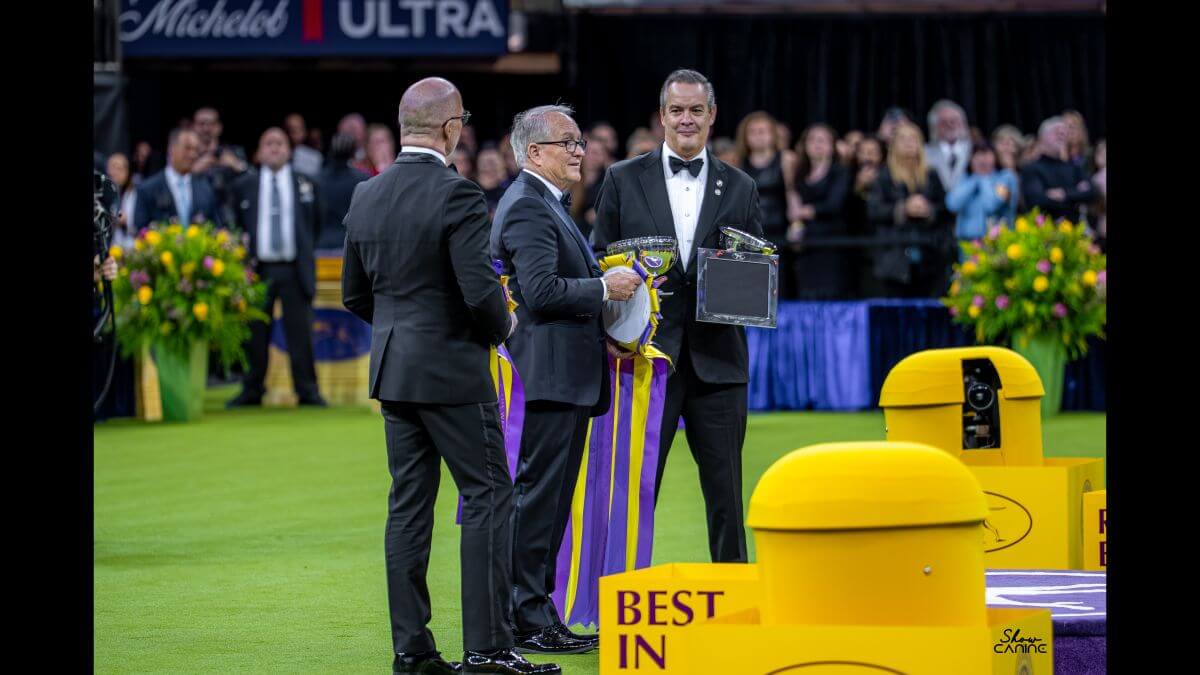 David Fitzpatrick at the 2026 Westminster Kennel Club Dog Show