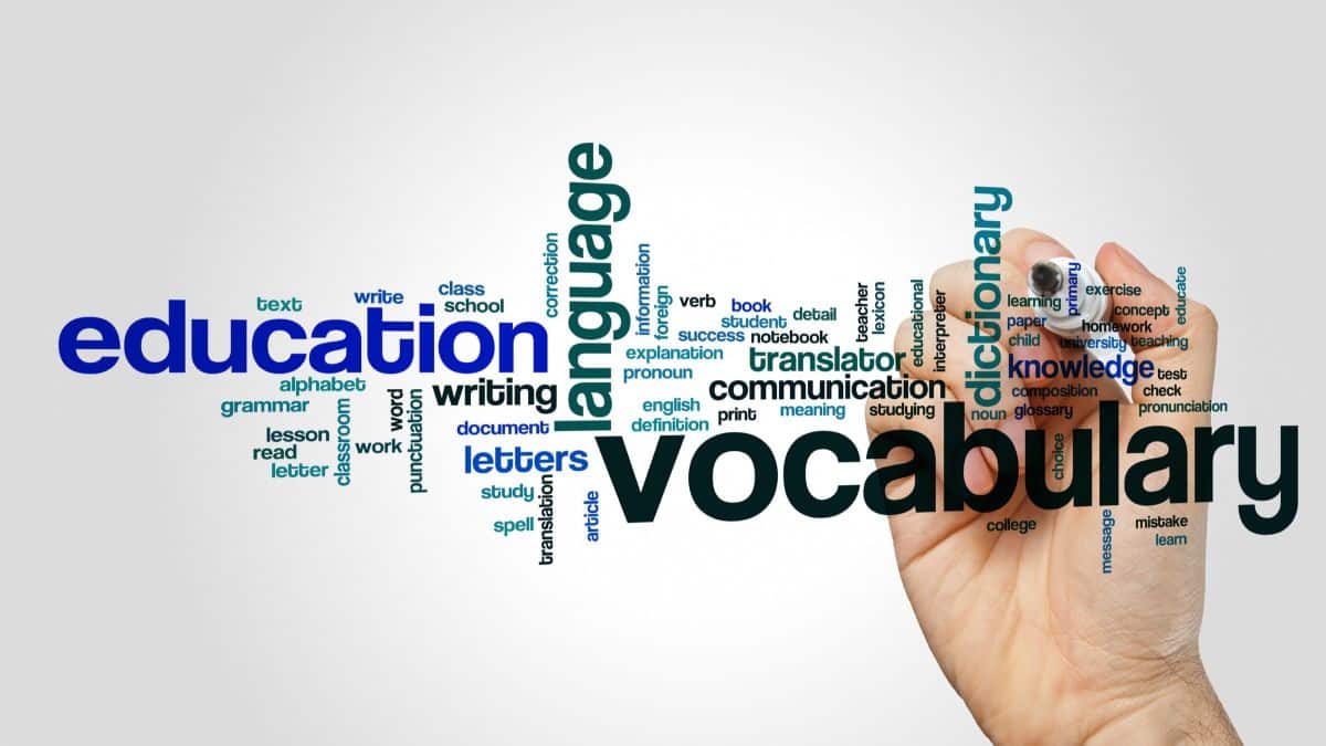 Vocabulary word cloud concept on grey background