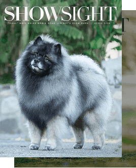 Stack of Showsight magazine issues