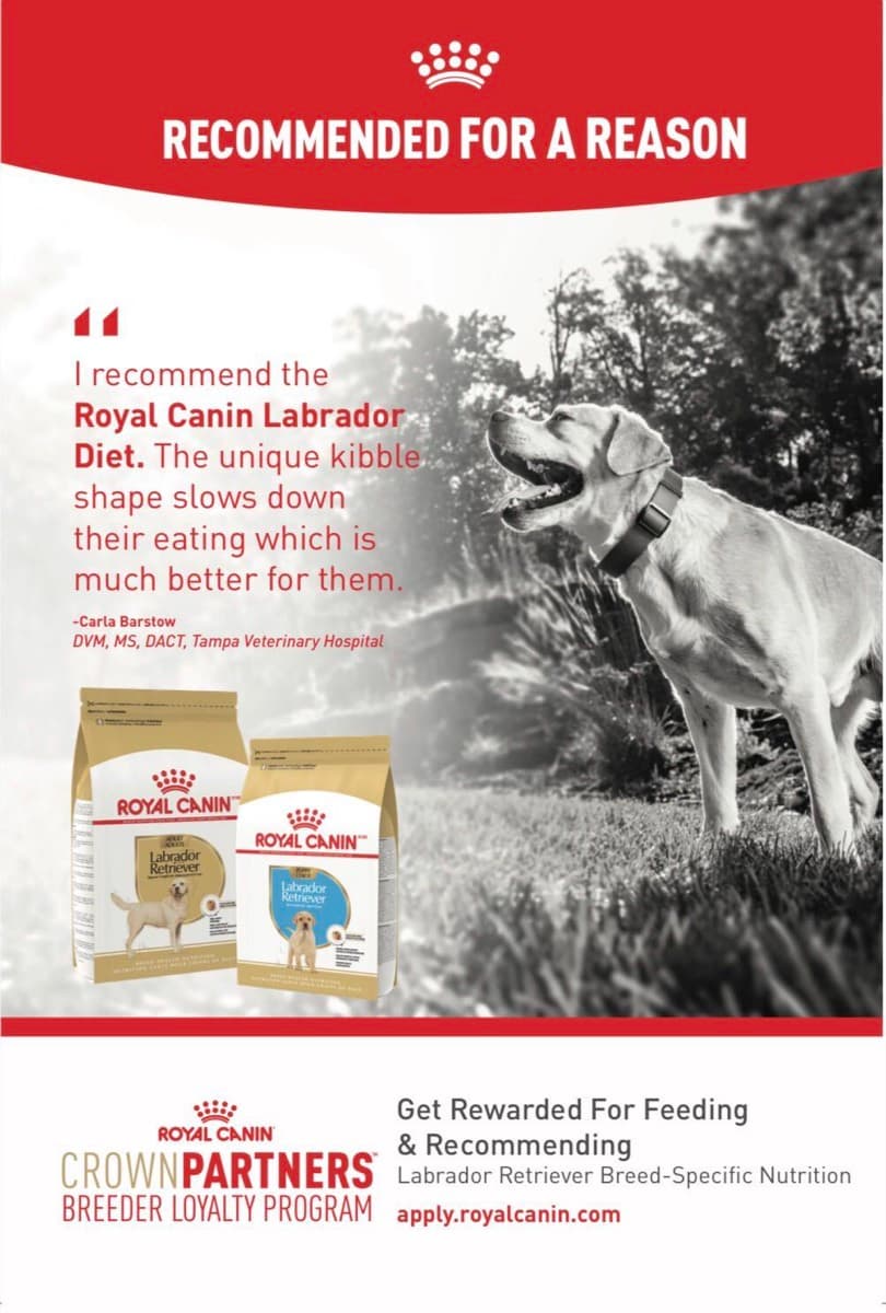 A Royal Canin Crown Partners advertisement as it ran in Showsight magazine