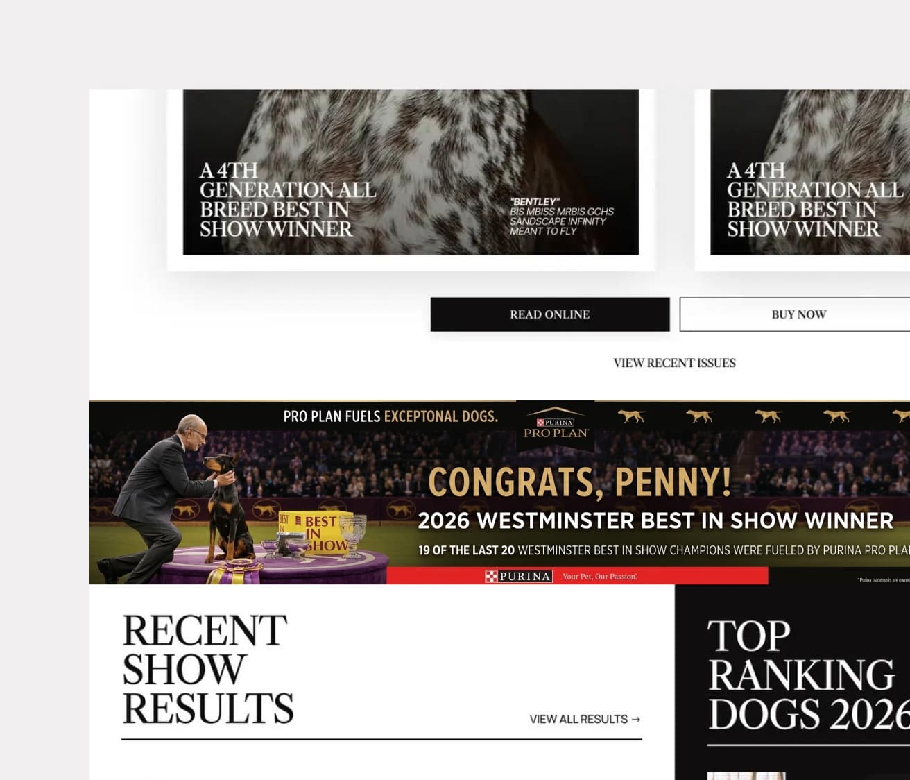 A sponsor's banner running full width on the Showsight homepage, between the latest issues and the results sections