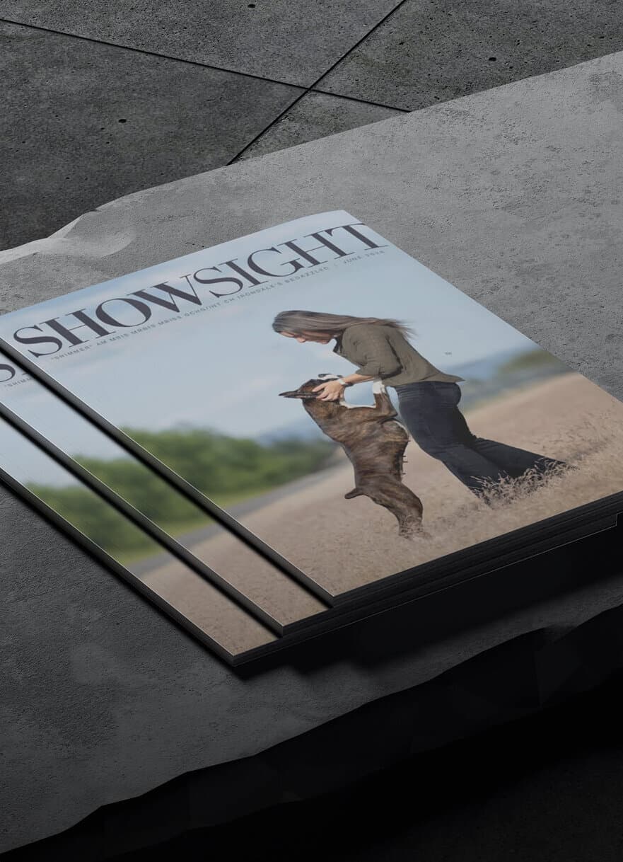 Printed copies of Showsight magazine stacked on concrete