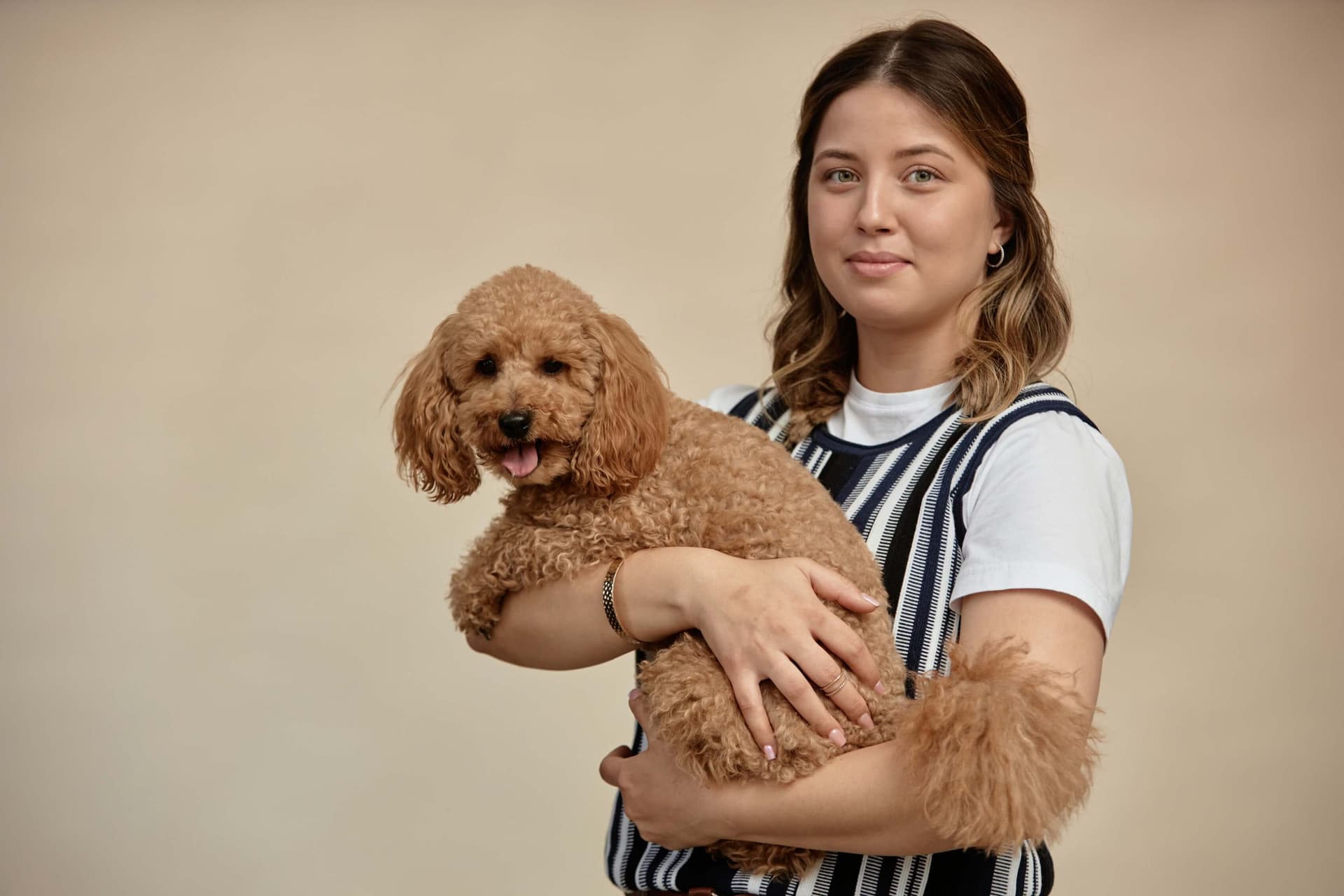 A breeder holding her poodle against a warm studio backdrop