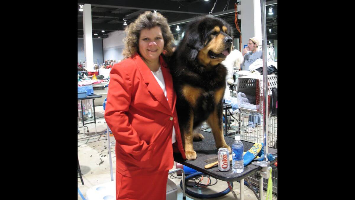 Audrey Lee with ther Aujudon Tibetan Mastiff at a dog show