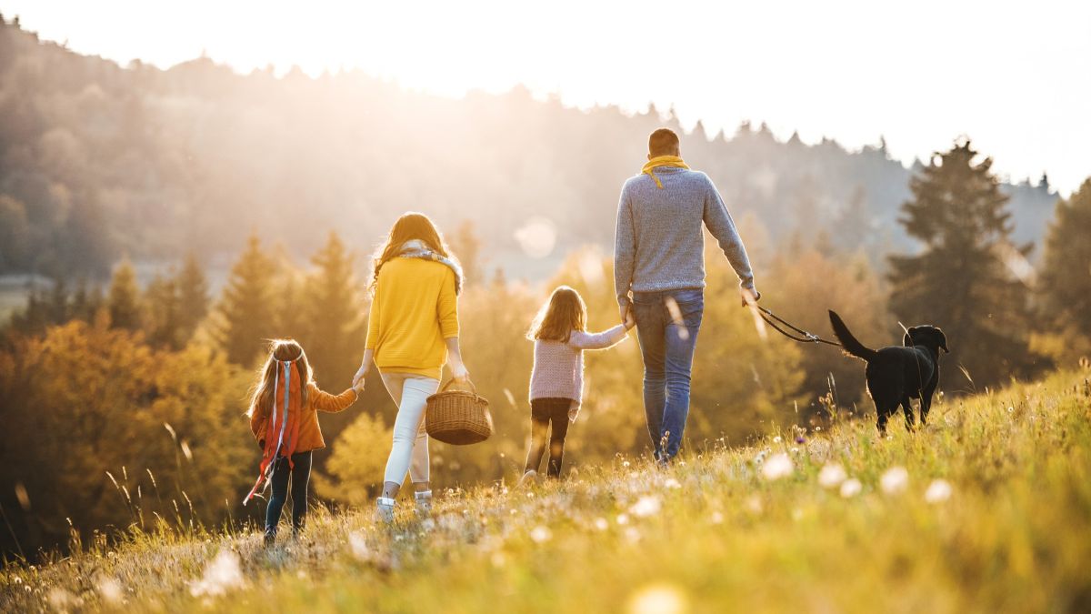 A rear view of young family with two small children and a dog on a walk in autumn nature.