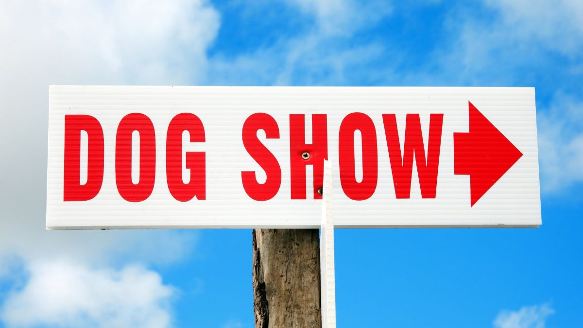 Dog Show sign