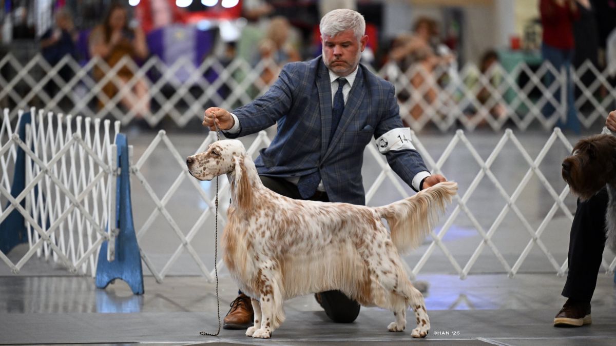 Christopher Keith at a dog show
