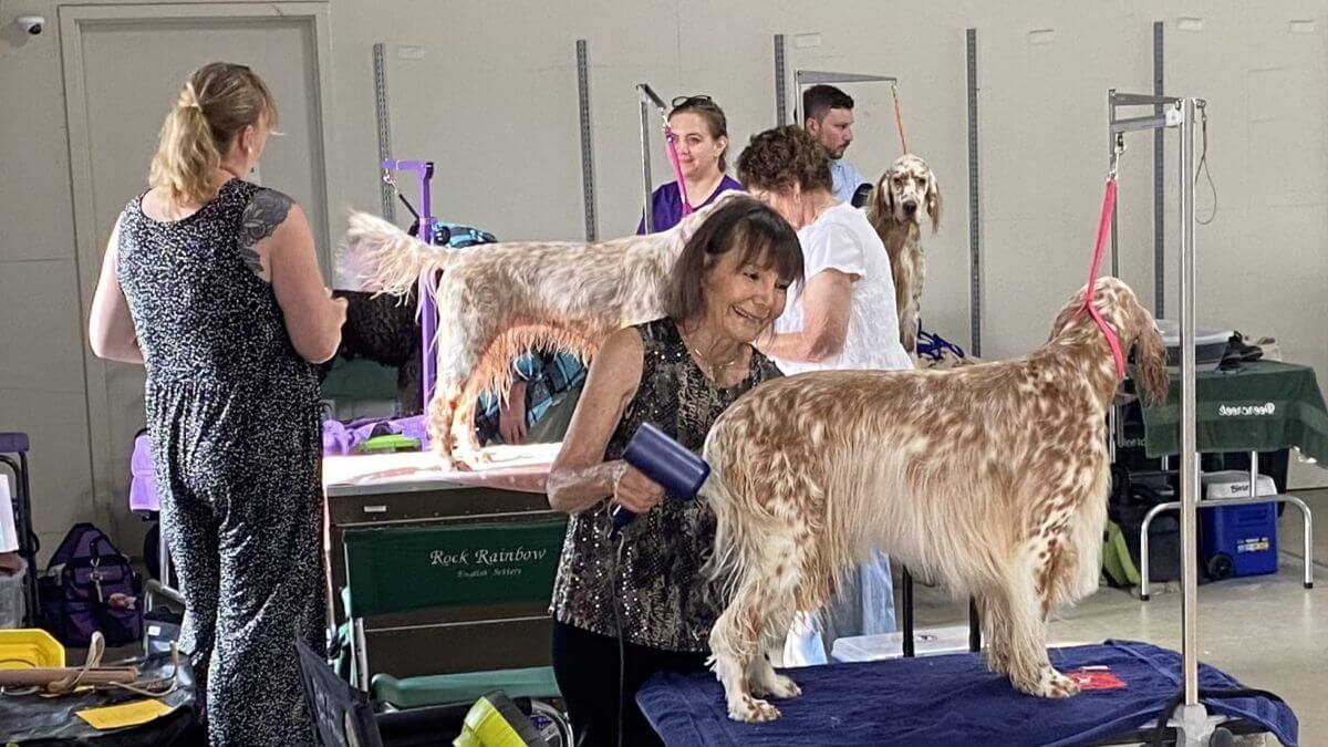 Marshfield Area Kennel Club 2026 Dog Show