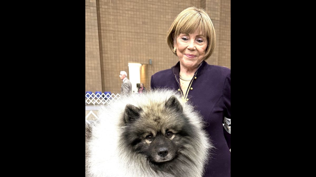 Keeshond "Clint" and Joanne Reed at a dog show