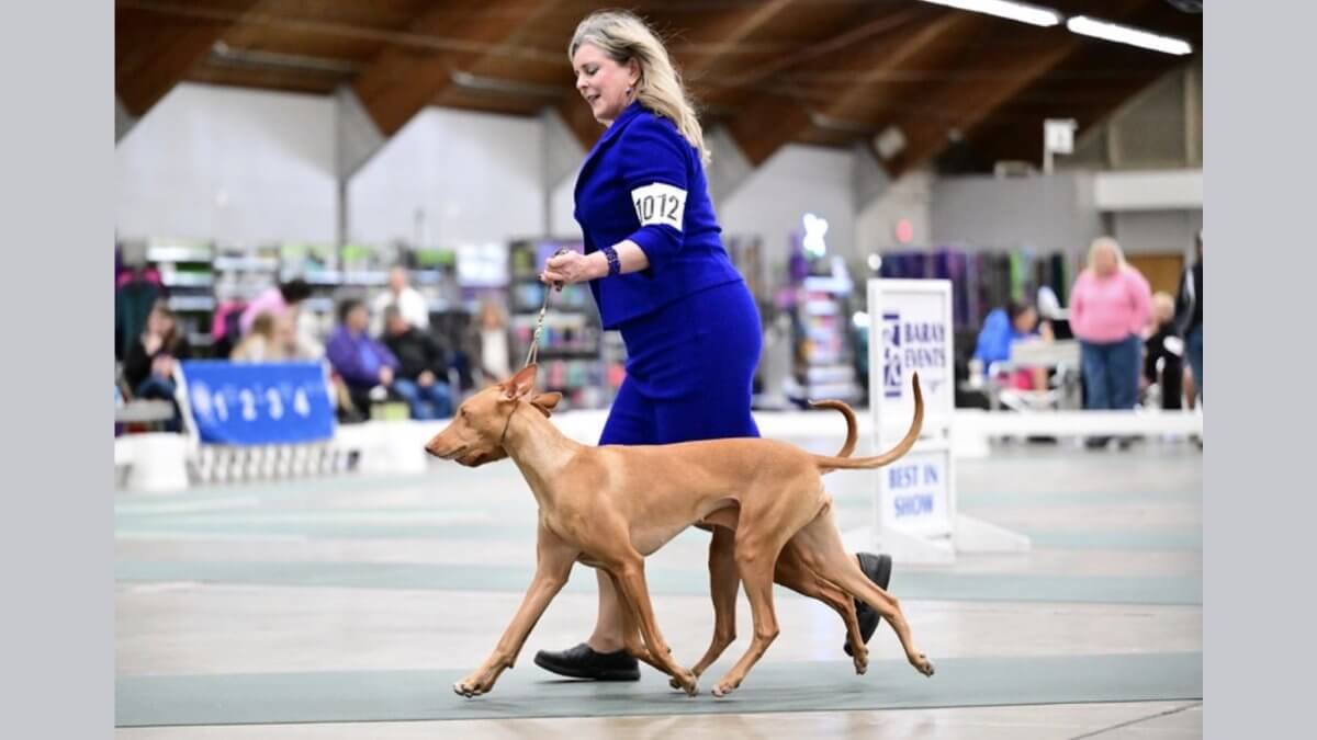 Heather Bakko at a dog show