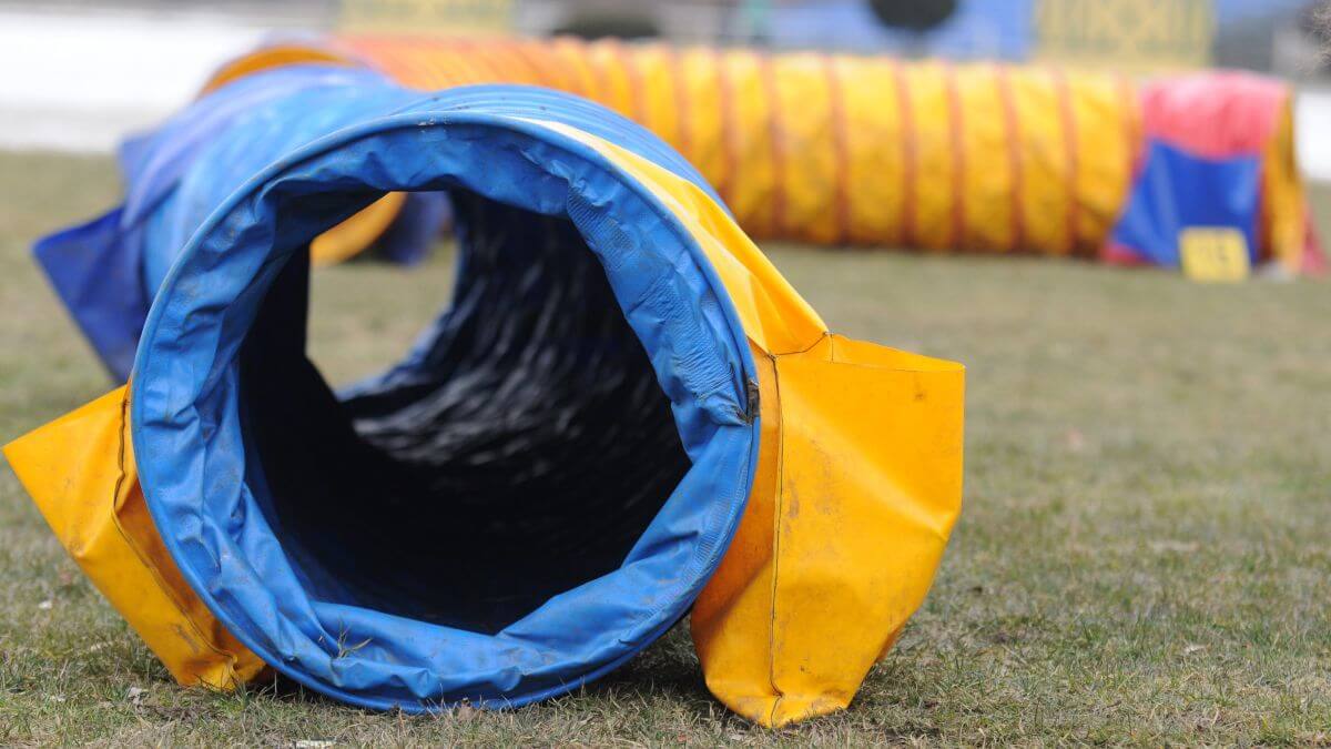 Agility tunnel