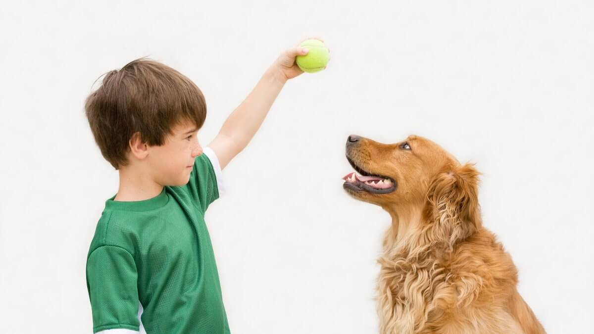 Boy Playing Ball with Dog